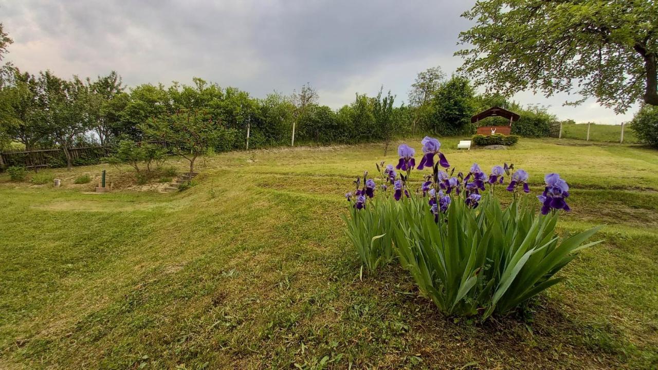 Vadászles Vendégház Bukkszentmarton Exterior foto