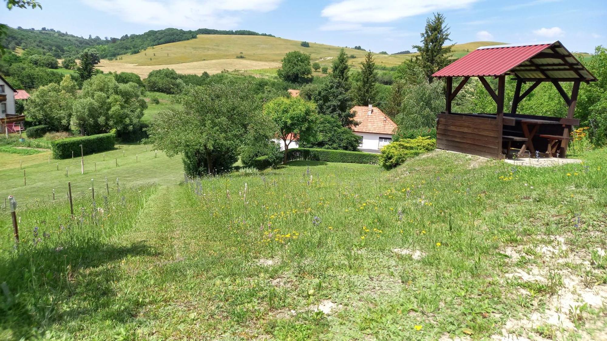 Apartamento Vadászles Vendégház Bukkszentmarton Exterior foto