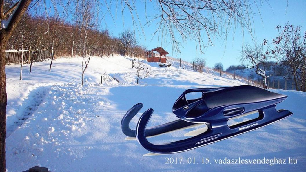 Vadászles Vendégház Bukkszentmarton Exterior foto